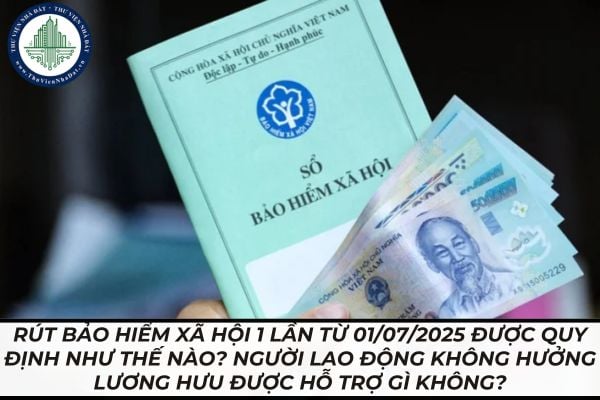 thuviennhadat.vn