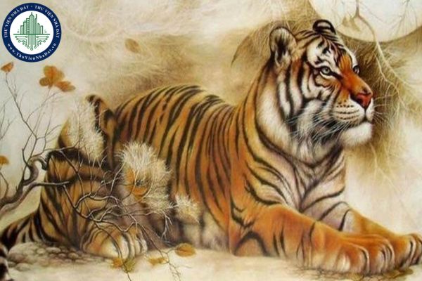 Cách chọn hướng nhà nam Mậu Dần 1998 hợp phong thủy