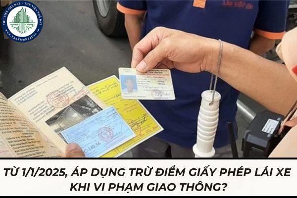 thuviennhadat.vn