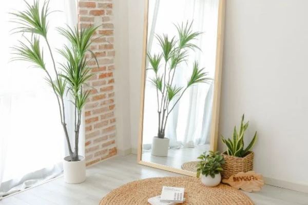 Gia chủ mệnh Mộc nên đặt gương vị trí nào trong nhà để thu hút may mắn? (Hình từ Internet)