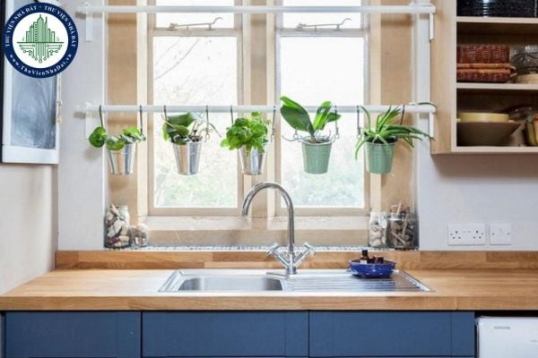 Những loại cây trồng nhà bếp giúp khử mùi thức ăn
