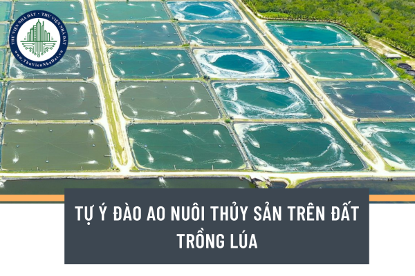 Người dân muốn đào ao nuôi trồng thủy sản trên toàn bộ diện tích đất trồng lúa cần làm gì?