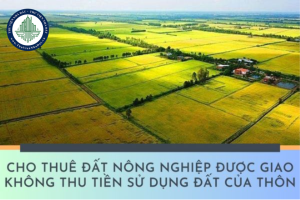 Thôn được Nhà nước giao đất nông nghiệp không thu tiền sử dụng đất khi cho thuê quyền sử dụng đất thì ai là người chịu trách nhiệm?