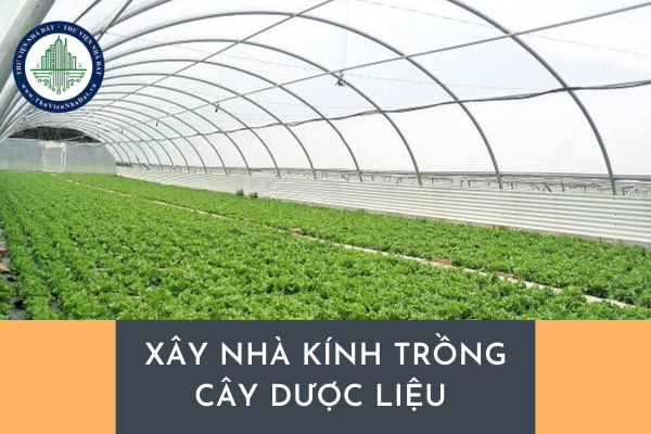 Chuyển mục đích sử dụng đất trồng cây lâu năm để xây nhà kính trồng cây dược liệu có phải xin phép hay không?