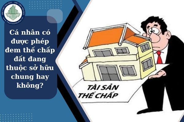 Cá nhân có được phép đem thế chấp đất đang thuộc sở hữu chung hay không?