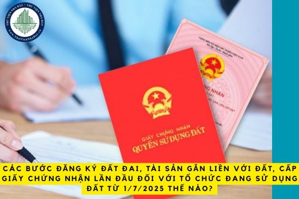 Các bước đăng ký đất đai, tài sản gắn liền với đất, cấp Giấy chứng nhận lần đầu đối với tổ chức đang sử dụng đất từ 1/7/2025 thế nào?
