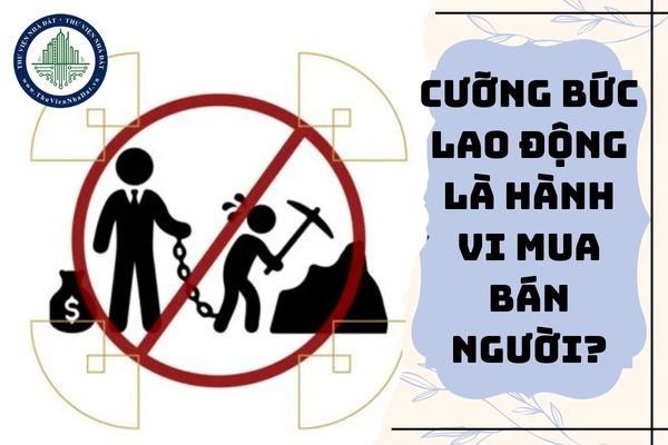 Cưỡng bức lao động được coi là hành vi mua bán người?