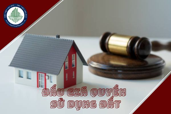 Phương án đấu giá quyền sử dụng đất có bao gồm thời hạn sử dụng của các thửa đất không?