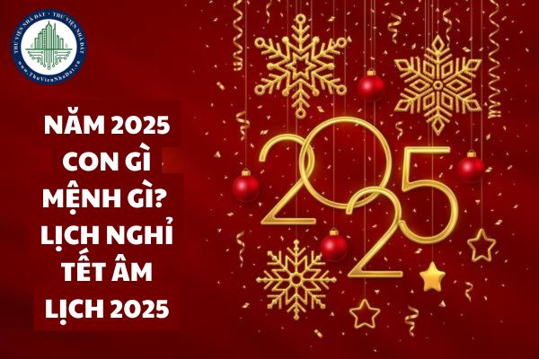 Năm 2025 con gì mệnh gì? Lịch nghỉ Tết Âm lịch 2025 chính thức mấy ngày?