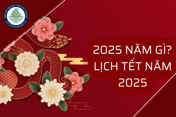 2025 năm gì? Lịch tết năm 2025 mùng 1 tết Âm lịch là ngày mấy?