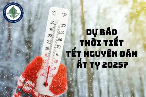 Tết năm nay có lạnh không? Dự báo thời tiết tết Nguyên đán Ất Tỵ 2025?