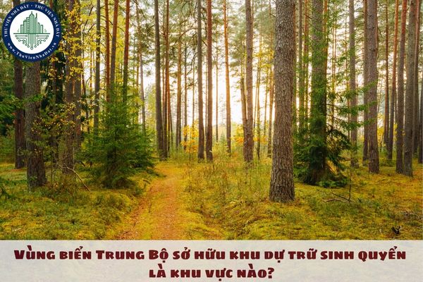 Vùng biển Trung Bộ sở hữu khu dự trữ sinh quyển là khu vực nào? 