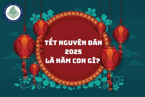 Tết Nguyên đán 2025 là năm con gì? Tết nguyên đán 2025 vào ngày bao nhiêu? (tết)