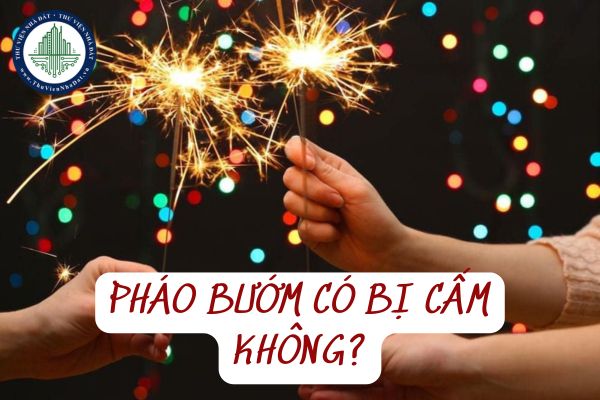 Pháo bướm có bị cấm không? Mua pháo bướm Tết Âm lịch 2025 có được không?