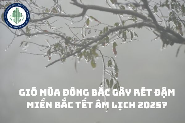 Gió mùa đông bắc gây rét đậm miền Bắc Tết Âm lịch 2025?