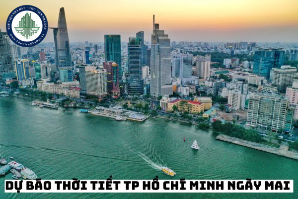 Dự báo thời tiết TP Hồ Chí Minh ngày mai 24/01/2025 có mưa không?