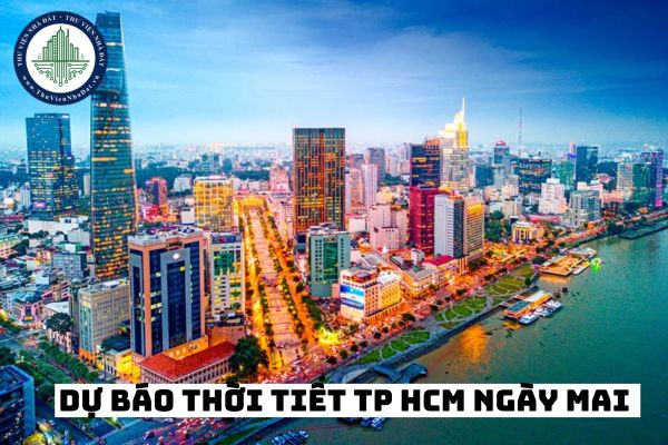 Dự báo thời tiết TP HCM ngày mai ngày 25/01/2025 như thế nào?