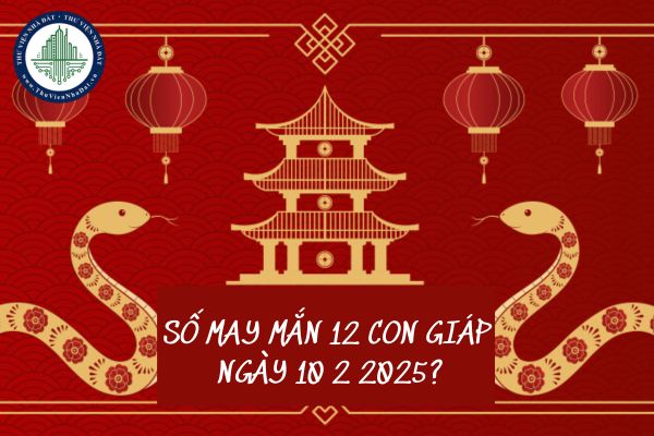 Số may mắn 12 con giáp ngày 10 2 2025? Các con số may mắn tài lộc hôm nay?