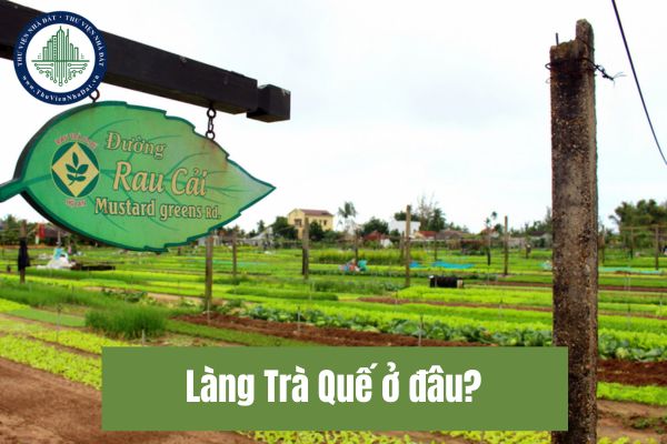 Làng Trà Quế ở đâu? Làng rau Trà Quế Quảng Nam có nghề truyền thống là gì?