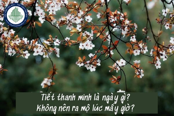 Tiết thanh minh là ngày gì? Không nên ra mộ lúc mấy giờ?