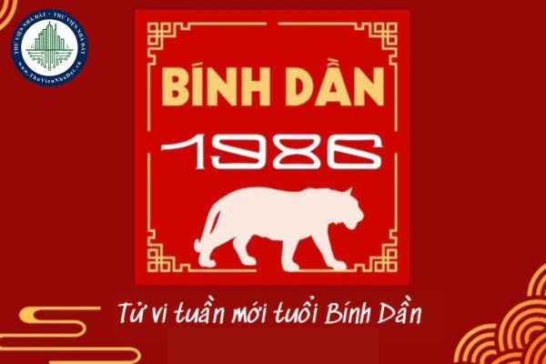 Tử vi tuần mới tuổi Bính Dần 17 đến 23 2 2025