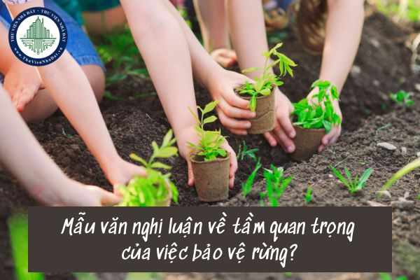 05 Mẫu văn nghị luận về tầm quan trọng của việc bảo vệ rừng?