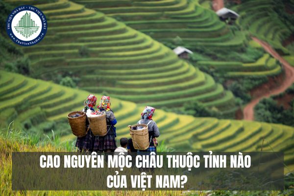 Cao nguyên Mộc Châu thuộc tỉnh nào của Việt Nam?