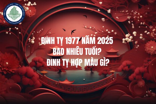 Đinh Tỵ 1977 năm 2025 bao nhiêu tuổi? Đinh Tỵ hợp màu gì?