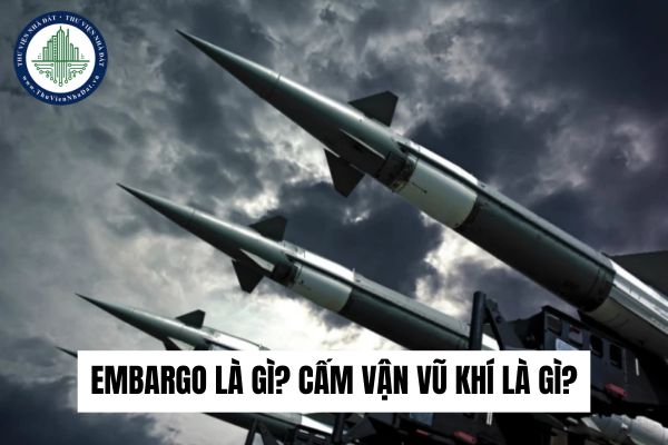 Embargo là gì? Cấm vận vũ khí là gì? 