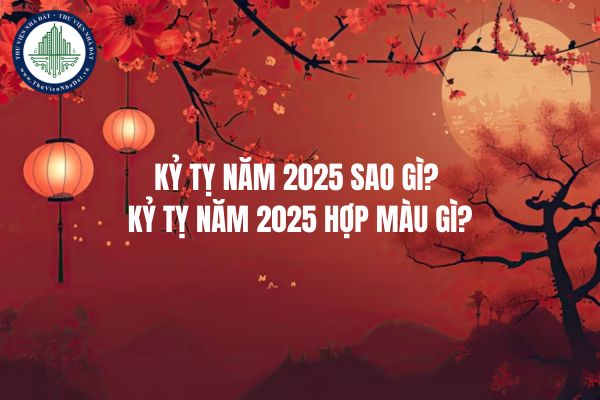 Kỷ Tỵ năm 2025 sao gì? Kỷ Tỵ năm 2025 hợp màu gì?