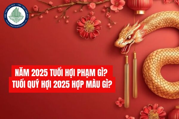 Năm 2025 tuổi Hợi phạm gì? Tuổi Quý Hợi 2025 hợp màu gì?