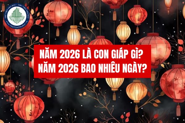 Năm 2026 là con giáp gì? Năm 2026 bao nhiêu ngày?