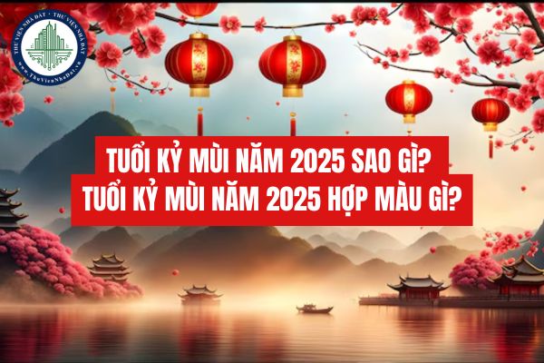 Tuổi Đinh Tỵ năm 2025 sao gì? Tử vi tuổi Đinh Tỵ năm 2025?