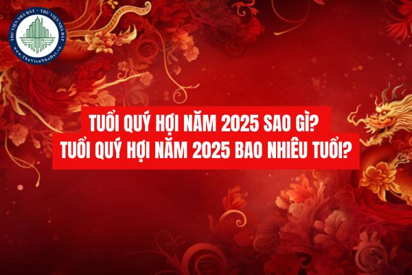 Tuổi Quý Hợi năm 2025 sao gì? Tuổi Quý Hợi năm 2025 bao nhiêu tuổi?