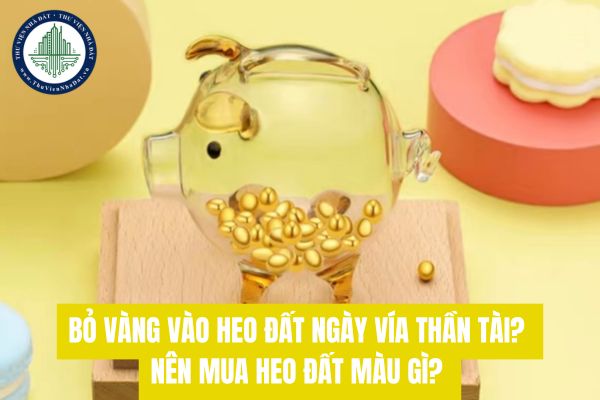 Bỏ vàng vào heo đất ngày vía Thần Tài? Nên mua heo đất màu gì? 