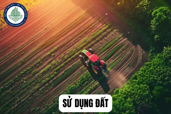 Quyền sử dụng đất và quyền bề mặt đối với mặt đất là quyền của một hay hai chủ thể?