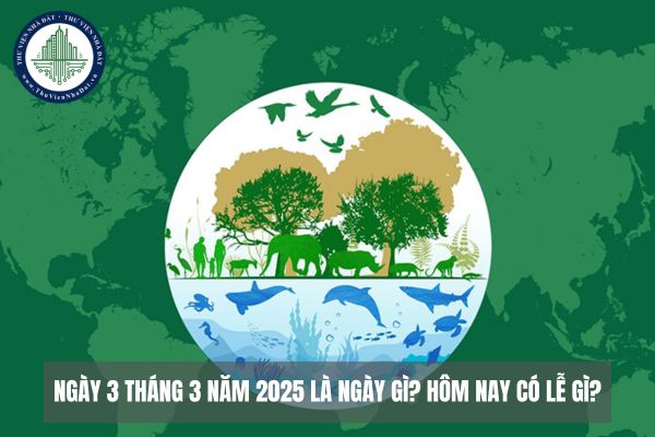 Ngày 3 tháng 3 năm 2025 là ngày gì? Hôm nay có lễ gì?