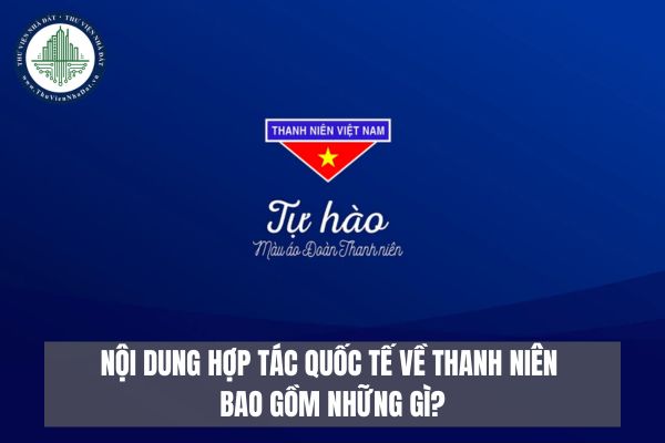 Nội dung hợp tác quốc tế về thanh niên bao gồm những gì?