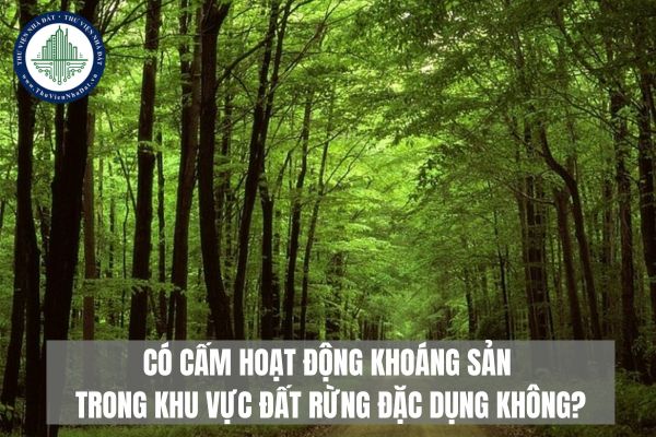 Có cấm hoạt động khoáng sản trong khu vực đất rừng đặc dụng không?