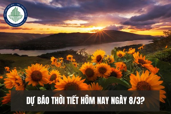 Dự báo thời tiết hôm nay ngày 8/3 chi tiết 3 miền?