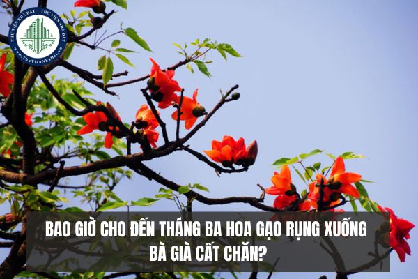 Bao giờ cho đến tháng ba hoa gạo rụng xuống bà già cất chăn là gì?