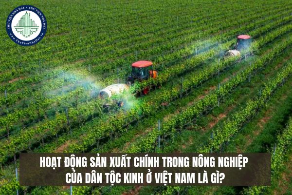 Hoạt động sản xuất chính trong nông nghiệp của dân tộc Kinh ở Việt Nam là gì?