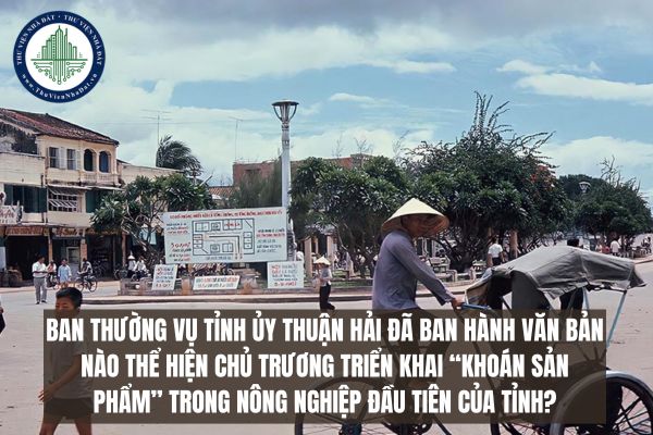 Sau khi có Chỉ thị số 100-CT/TW, ngày 22/01/1981 của Ban Bí thư Trung ương Đảng, Ban Thường vụ Tỉnh ủy Thuận Hải đã ban hành văn bản nào thể hiện chủ trương triển khai “khoán sản phẩm” trong nông nghiệp đầu tiên của tỉnh?