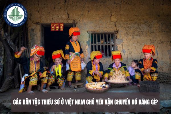 Các dân tộc thiểu số ở Việt Nam chủ yếu vận chuyển đồ bằng gì?