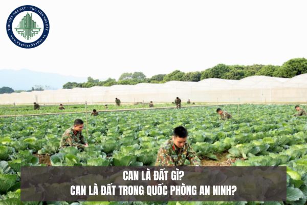 CAN là đất gì? CAN là đất trong quốc phòng an ninh?