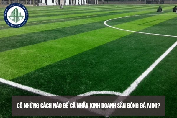 Có những cách nào để cá nhân kinh doanh sân bóng đá mini?