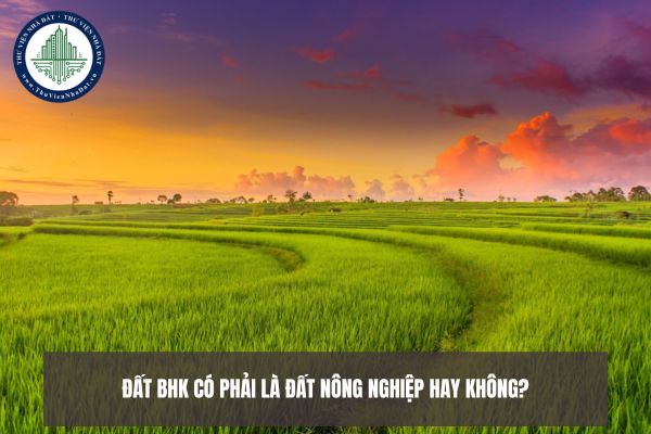 thuviennhadat.vn