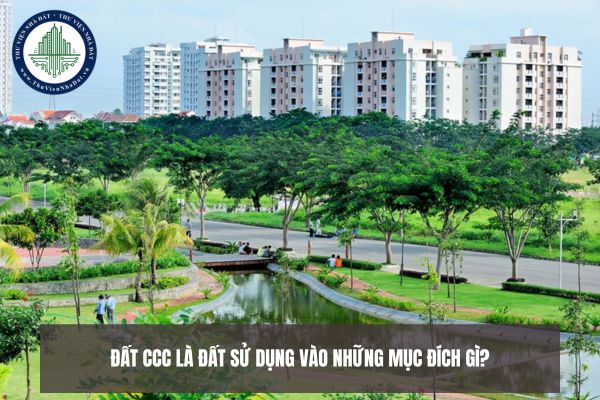 Đất CCC là đất sử dụng vào những mục đích gì?