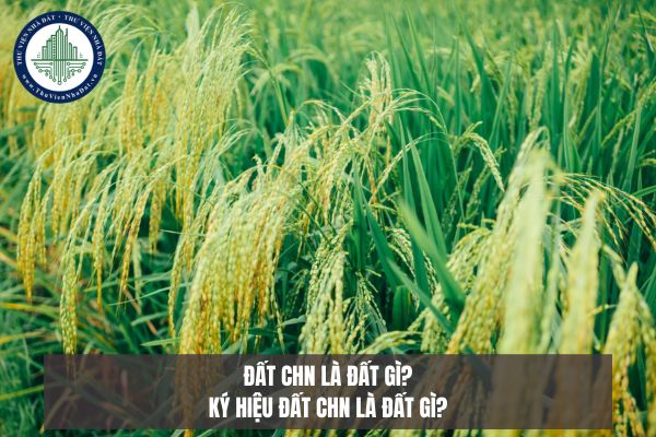 Đất CHN là đất gì? Ký hiệu đất CHN là đất gì?