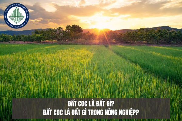 Đất COC là đất gì? Đất COC là đất gì trong nông nghiệp?